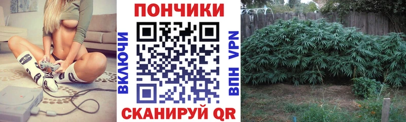 купить сайты Звенигород МАРИХУАНА Bruce Banner